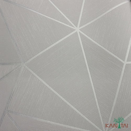 Papel de Parede - Geometric