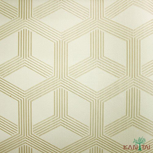 Papel de Parede - Geometric