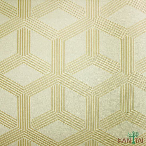 Papel de Parede - Geometric