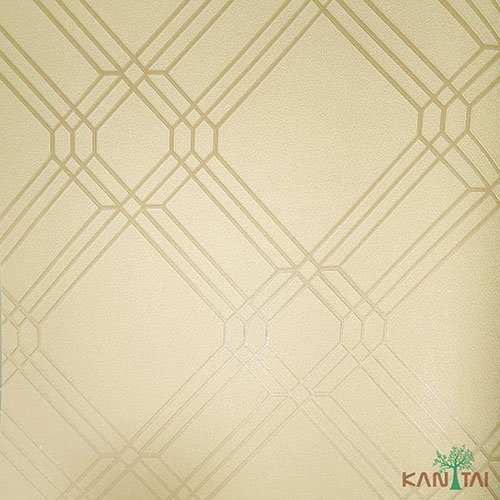 Papel de Parede - Geometric