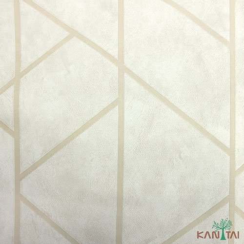 Papel de Parede - Geometric