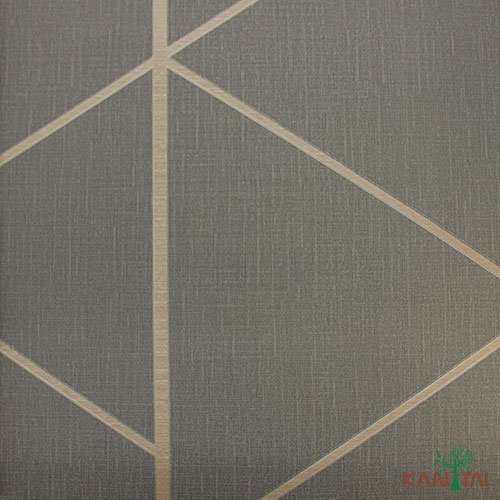 Papel de Parede - Geometric