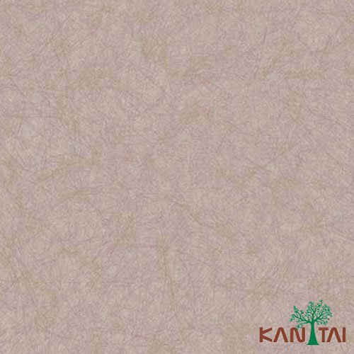 Papel de Parede - My Color