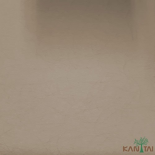 Papel de Parede - My Color