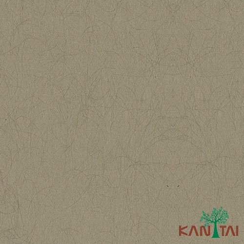 Papel de Parede - My Color
