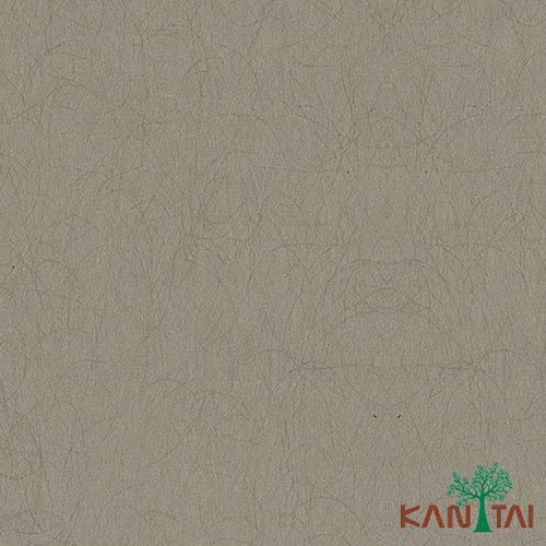 Papel de Parede - My Color