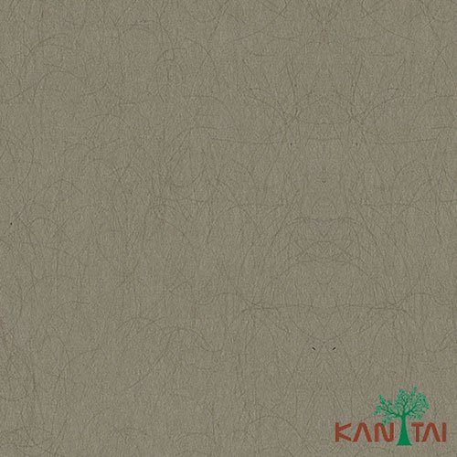 Papel de Parede - My Color