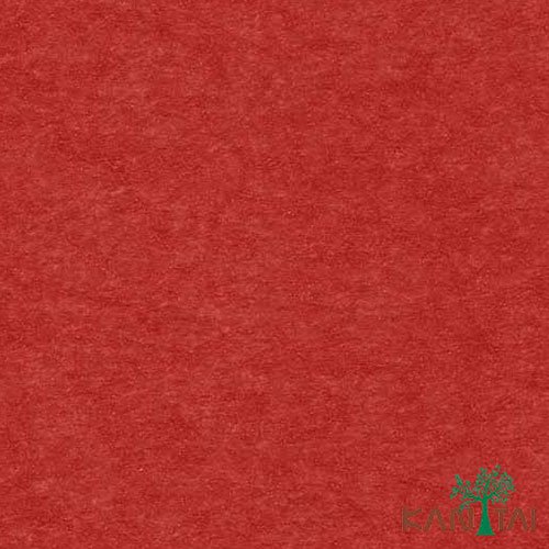 Papel de Parede - My Color