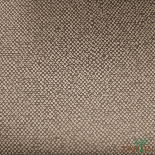 Papel de Parede - My Color