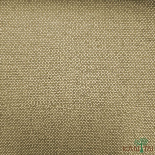 Papel de Parede - My Color