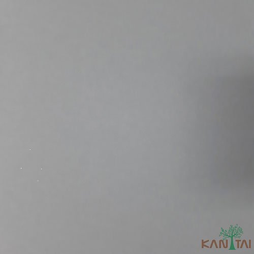 Papel de Parede - My Color