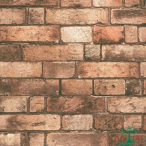 Papel de Parede - Stone Age