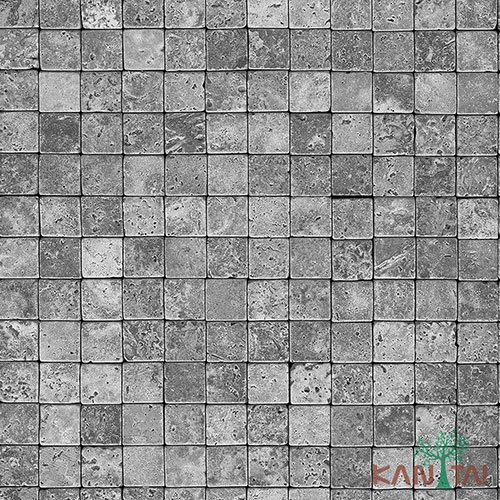 Papel de Parede - Stone Age