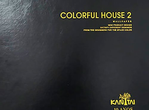 Central Box SP - COLORFUL HOUSE 2
